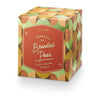 Illume Memory Lane Boxed Glass Candle | 3 Scents