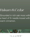 Balsam and Cedar | Large Radiant Glass Candle
