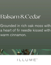 Balsam and Cedar | Small Boxed Crackle Glass Candle