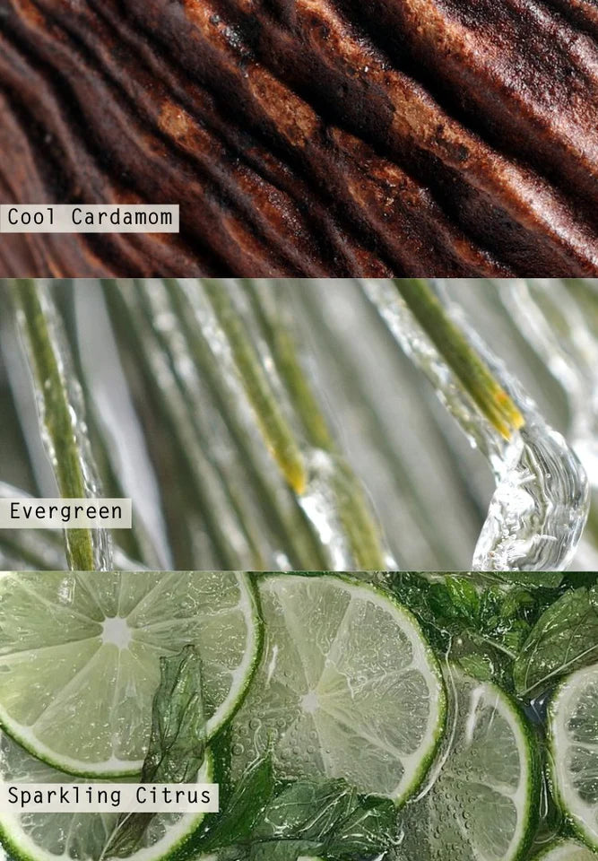 Winter White | Demi Vanity Tin Candle