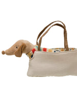 Penelope the Dachshund  in Canvas Carrier
