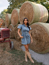 Denim Darling Washed Denim Dress